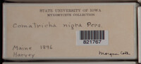 Image Associated With the Occurence